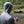 Back view of the ETHIC Approach Hoodie in Hemlock, hood pulled over a cap, rigging line beside a stream