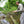 Angler casting on a small wooded stream in the ETHIC Approach Hoodie in Hemlock and Approach Pants in Slate, net on his back