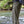 Approach Pants in Freestone, wet from wading, showing the knee panels, zippered cargo pocket, and logo